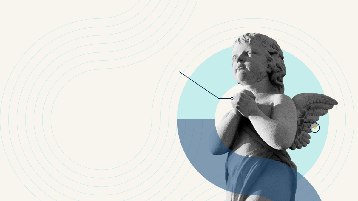 Top 100 Angel Investors Database